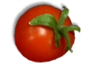 Captcha image 8978