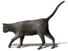 Captcha image 9083